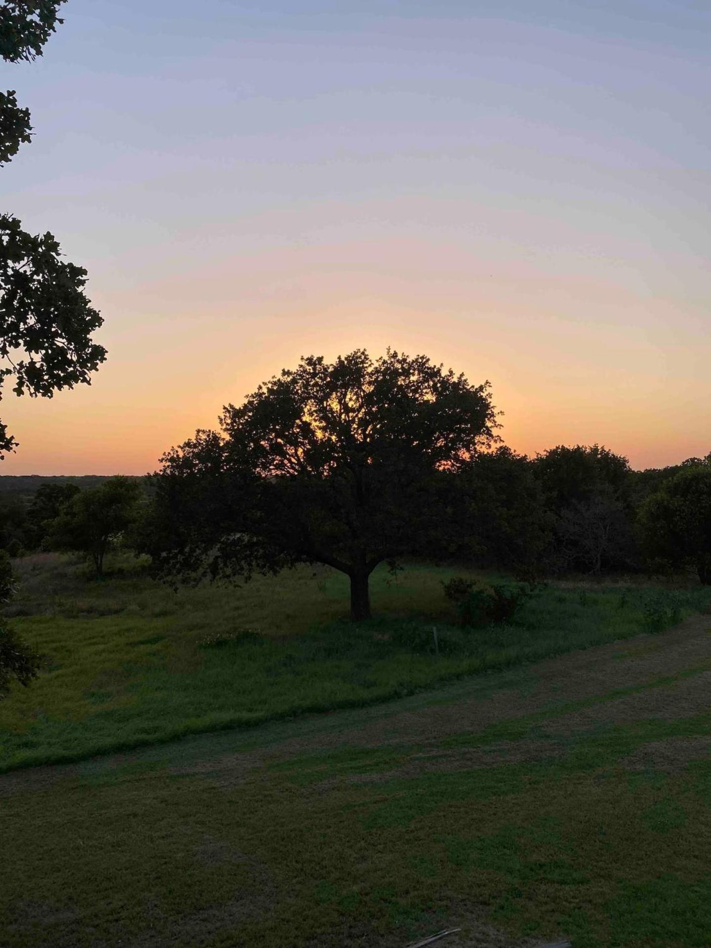 Nature Retreateclectic Country Boho Farmhouse Nocona Eksteriør bilde
