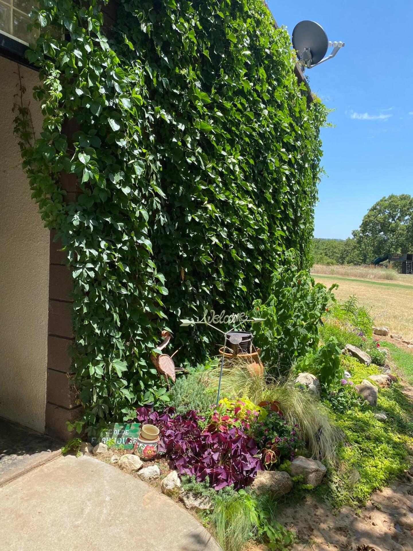 Nature Retreateclectic Country Boho Farmhouse Nocona Eksteriør bilde